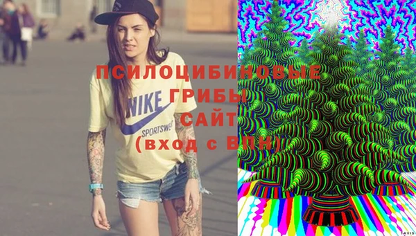 прущие крисы Алзамай